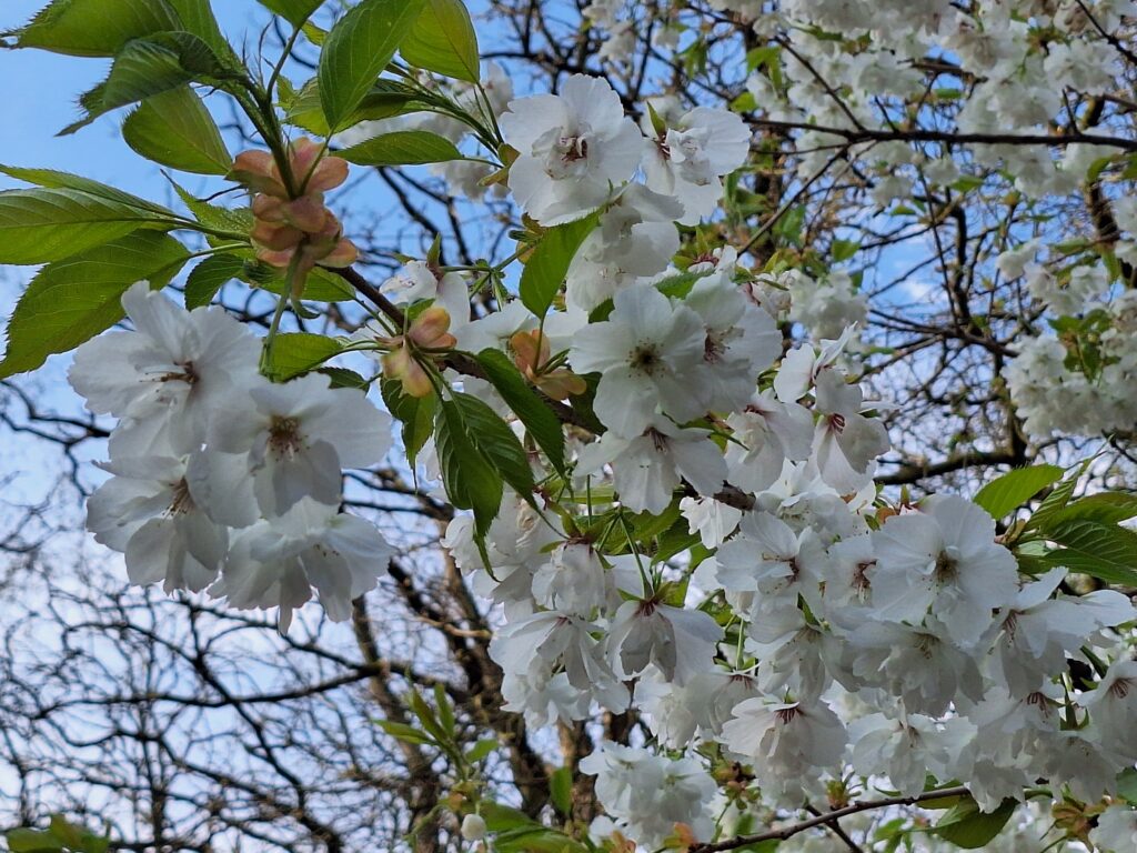 My favourite time of year